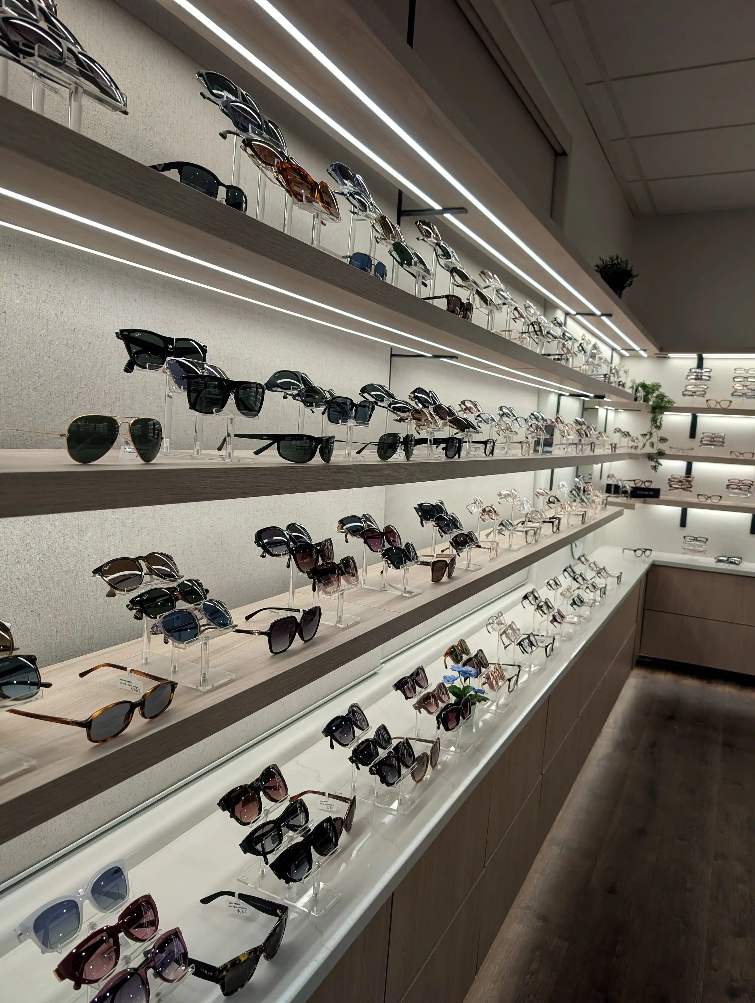 Sunglasses and frames on display at Lakeview Eye Care in Syracuse, Utah